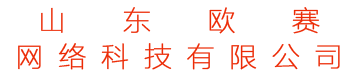 山东网站建设网络公司【欧赛】专做网站设计制作